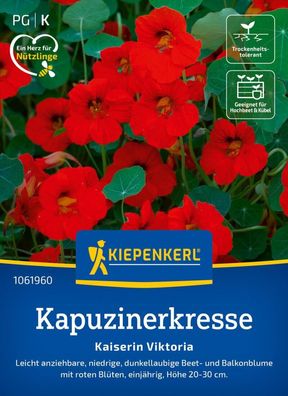 Kapuzinerkresse Kaiserin Viktoria, niedrige Beet- und Balkonblume