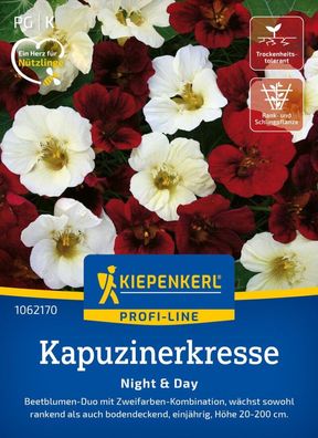 Kapuzinerkresse Night & Day, Beetblume - wächst sowohl rankend als auch