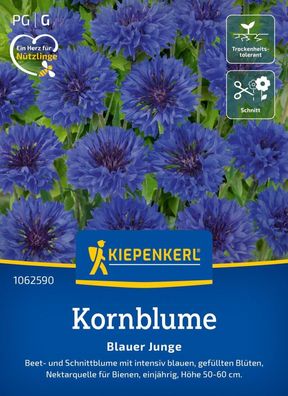 Kornblume Blauer Junge, Beet- und Schnittblume - Nektarquelle für Nützlinge