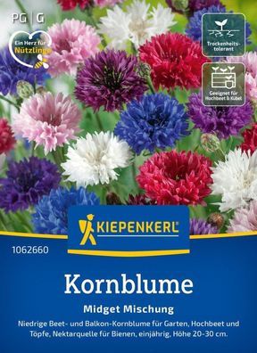 Kornblume Midget Mischung, Niedrige Beet- u Balkon-Kornblume - Nektarquelle