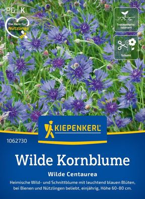 Wilde Kornblume, Heimische Wild- u Schnittblume - Nektarspender für Nützlinge