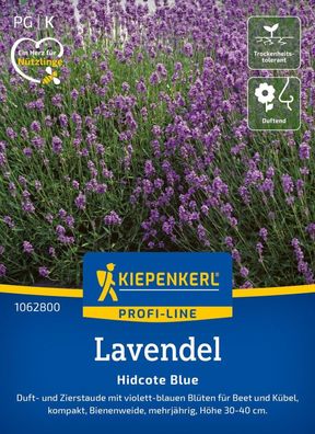 Lavendel Hidcote Blue, Duft- u Zierstaude - für Beet und Kübel - Bienenwiede