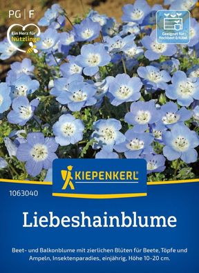 Liebeshainblume, Beet- und Balkonblume - Insektenparadies - Wuchshöhe 10-20 cm