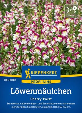 Löwenmäulchen Cherry Twist, Standfeste, halbhohe Beet- u Schnittblume - Höhe