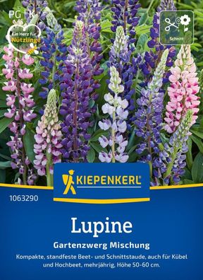 Lupine Gartenzwerg Mischung, Standfeste Beet- und Schnittsatude - auch für