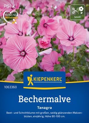 Bechermalve Tanagra, Beet- u Schnittblume - seidig glänzende Malvenblüten