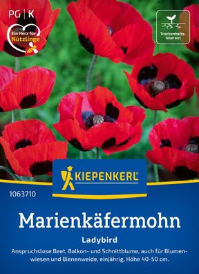 Marienkäfermohn Ladybird, Anspruchslose Beet-, Balkon- u Schnittblume