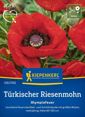 Türkischer Riesenmohn Olympiafeuer, Beet- und Balkonstaude - mehrjährige