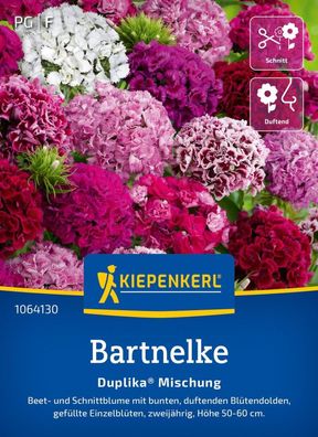 Bartnelke Duplika® Mischung, Beet- u Schnittblume - gefüllte Einzelblüten