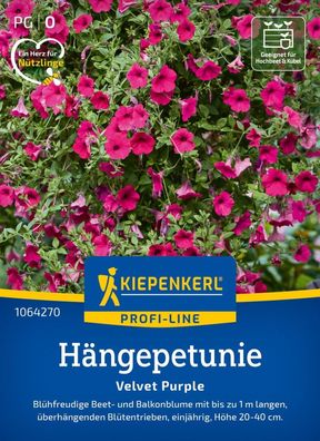 Hängepetunie Velvet Purple, F1, Pillensaat, Blühfreudige Beet- u Balkonblume