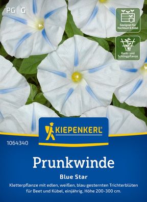 Prunkwinde Blue Star, Kletterpflanze für Beet und Kübel - Höhe 200-300 cm