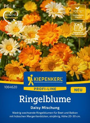 Ringelblume Daisy Mischung, für Beet und Balkon - hübsche Margeritenblüten