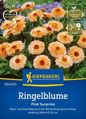 Ringelblume Pink Surprise, Beet- u Schnittblume - Höhe 40-60 cm