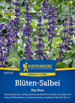 Blüten-Salbei Big Blue, F1, Reichblühende Blume für Beet und Kübel