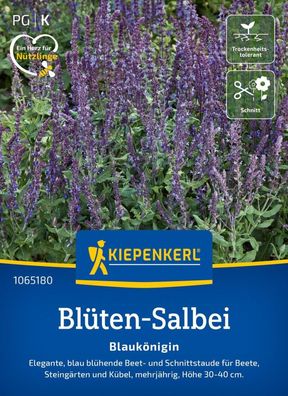 Blüten-Salbei Blaukönigin, Beet- und Schnittstaude - Nektarspender