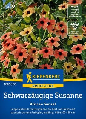 Schwarzäugige Susanne African Sunset, Kletterpflanze für Beet und Balkon