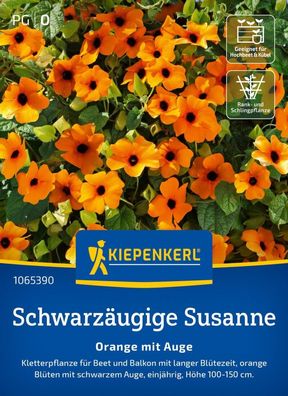 Schwarzäugige Susanne Orange mit Auge, Kletterpflanze mit langer Blütezeit