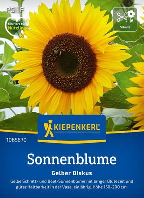 Sonnenblume Gelber Diskus, Schnitt- und Beet-Sonnenblume - lange Blütezeit