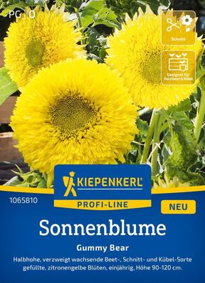 Sonnenblume Gummy Bear, verzweigt wachsende Beet-, Schnitt- und Kübel-Sorte