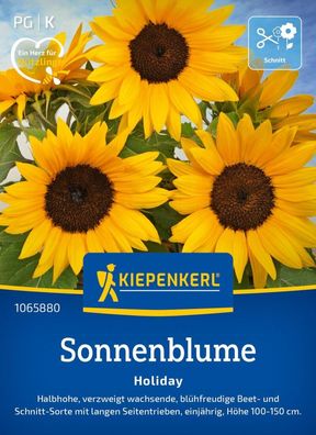 Sonnenblume Holiday, verzweigt wachsend - blühfreudige Beet- und