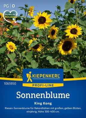 Sonnenblume King Kong, Riesen-Sonnenblume - Höhe 300-400 cm - Nektarspender