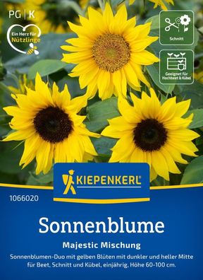 Sonnenblume Majestic Mischung, Sonnenblumen-Duo - für Beet, Schnitt und Kübel