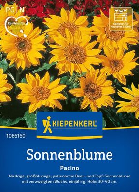 Sonnenblume Pacino, Niedrige, großblumige, pollenarme Beet- u