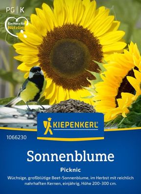 Haustierfutter Vogel- Sonnenblume, Großblütige Beet-Sonnenblume mit reichlich