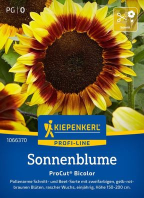 Sonnenblume ProCut® Bicolor, F1, Pollenarme Schnitt- u Beet-Sorte - rascher