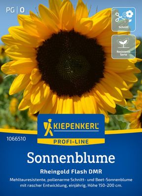 Sonnenblume Rheingold Flash DMR, F1, Mehltausresistente Schnitt- u