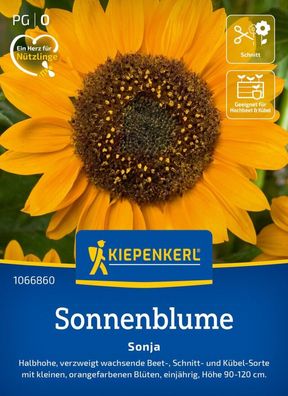 Sonnenblume Sonja, Halbhohe, verzweigt wachsende Beet-, Schnitt- u