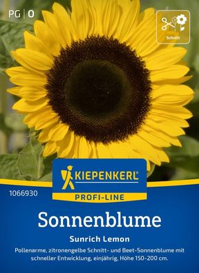 Sonnenblume Sunrich Lemon, F1, Pollenarme Schnitt- u Beet-Sonnenblume - Höhe