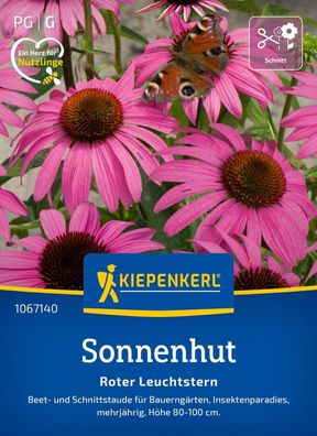 Sonnenhut Roter Leuchtstern, Beet- u Schnittstaude - Insektenparadies - Höhe