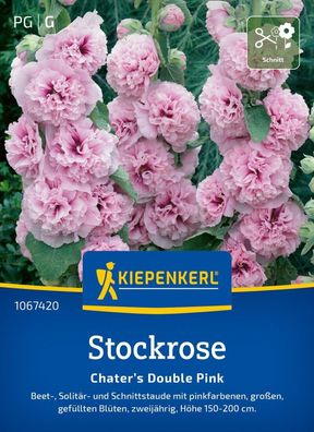 Stockrose Chater’s Double Pink, Beet-, Solitär- und Schnittstaude - Höhe