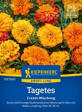 Tagetes Cresto Mischung, Blühfreudige Studentenblumen-Mischung für Beet und