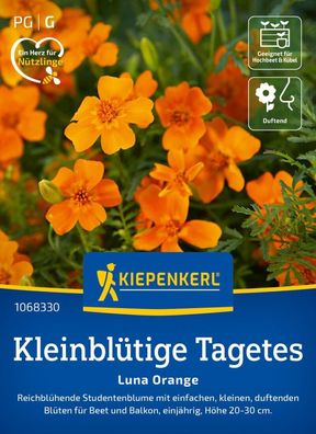 Kleinblütige Tagetes Luna Orange, Reichblühende Studentenblume - Höhe 20-30