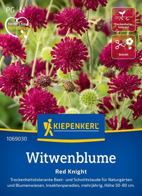 Witwenblume Red Knight, Trockenheitstolerante Beet- u Schnittstaude