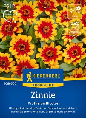 Zinnie Profusion Bicolor, Niedrige, blühfreudige Beet- u Balkonzinnie