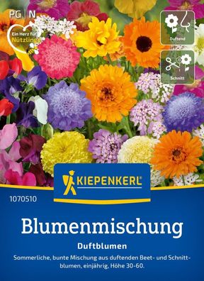 Blumenmischung Duftblumen, Sommerliche bunte Mischung - duftende Beet- u