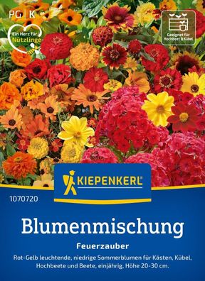 Blumenmischung Feuerzauber, Sommerblumen für Kästen, Kübel, Hochbeete und