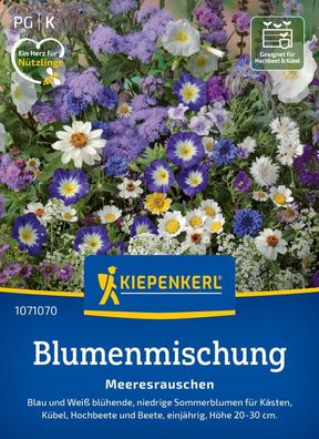 Blumenmischung Meeresrauschen, Blau und Weiß blühende, niedrige Sommerblumen