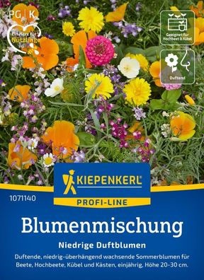 Blumenmischung Niedrige Duftblumen, Überhängende Sommerblumen für Beet,