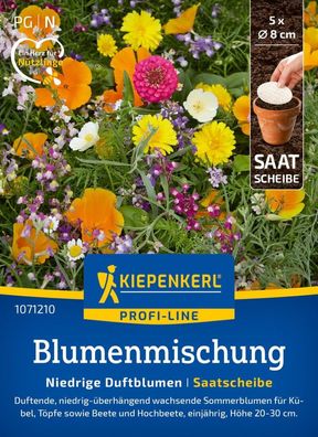 Blumenmischung Niedrige Duftblumen, Saatscheibe, Sommerblumen für Kübel,