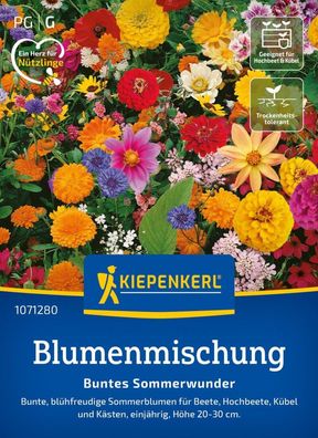 Blumenmischung Buntes Sommerwunder, blühfreudige Sommerblumen für Beet,