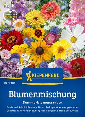 Blumenmischung Sommerblumenzauber, Beet- u Schnittblumen - sehr lange