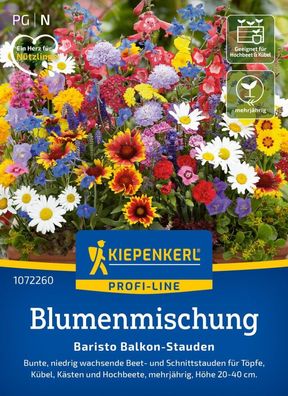 Blumenmischung Baristo Balkon-Stauden, niedrig wachsende Beet- u