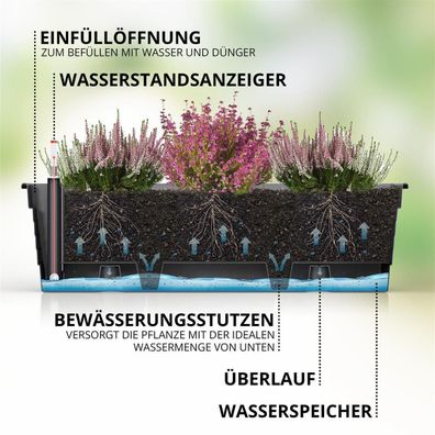 Blumenkasten 3er Set mit Hydroeinsatz und Wasserstandsanzeiger für Balkon Terrasse