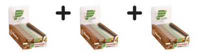 3 x Powerbar Natural Protein Bar (18x40g) Salty Peanut Crunch