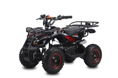 Quad ATV Kinderquad Miniquad Torino 49cc 2T E-Start Pocketquad