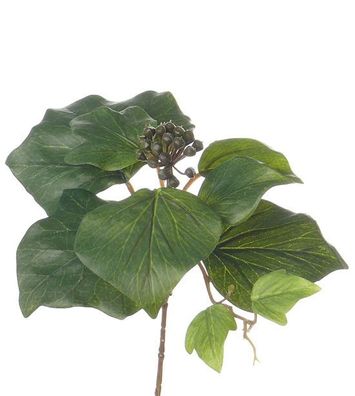 Hedera französisch Stich x10lvs 25 cm künstliche Blume Seide gefälschte Blume Dri